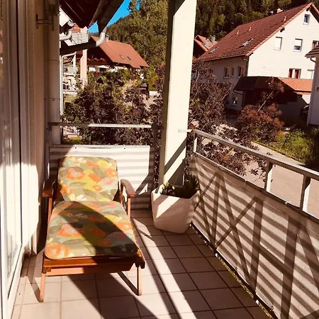 Ferienwohnung 公寓 *